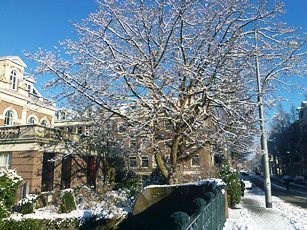 Winter Walk in Amsterdam