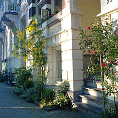 pavement garden in amsterdam