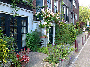 pavement garden along canal in amsterdam