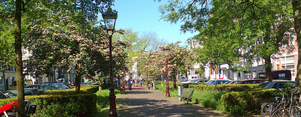 Spring blossom in Falckstraat, Amsterdam