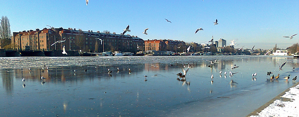 Amstel river with ice from Weesperzijde in Amsterdam