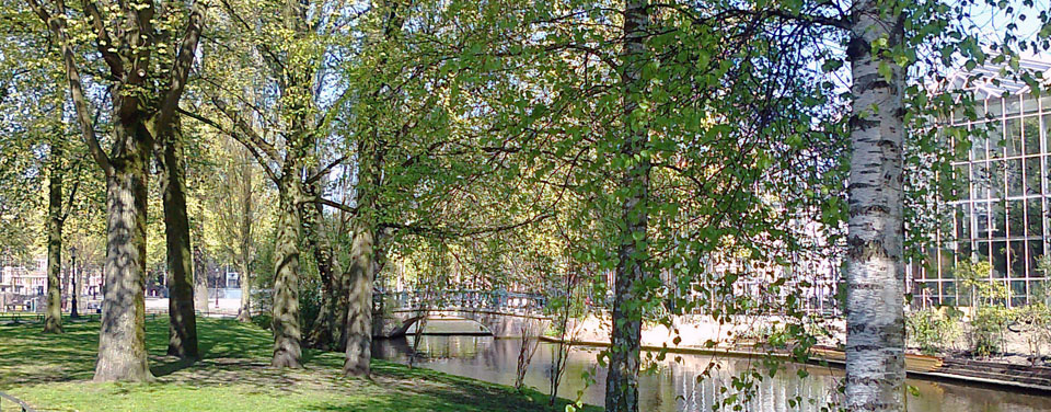 Hortus Botanic Gardens in Amsterdam