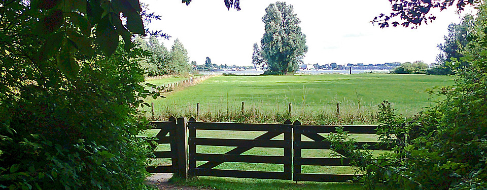 grassy paths on the shores of the Amsterdam harbour