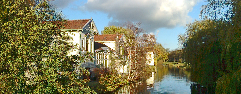 Autumn Walk South of Artis Zoo in Amsterdam