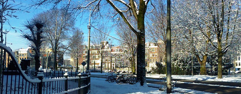 winter light and snow near Hortus Botanicus in Amsterdam